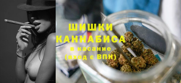 ГАЛЛЮЦИНОГЕННЫЕ ГРИБЫ Алексин