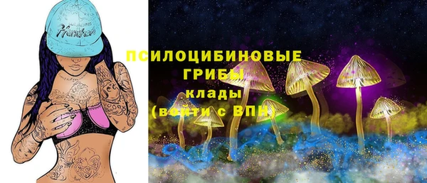 ГАЛЛЮЦИНОГЕННЫЕ ГРИБЫ Алексин