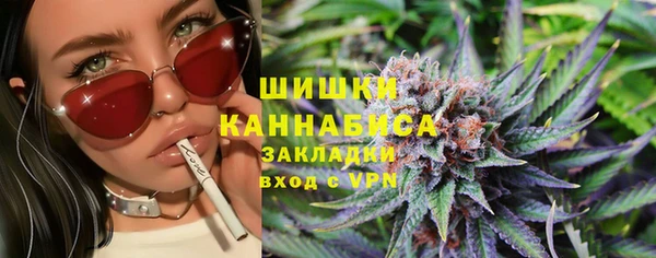 ГАЛЛЮЦИНОГЕННЫЕ ГРИБЫ Алексин